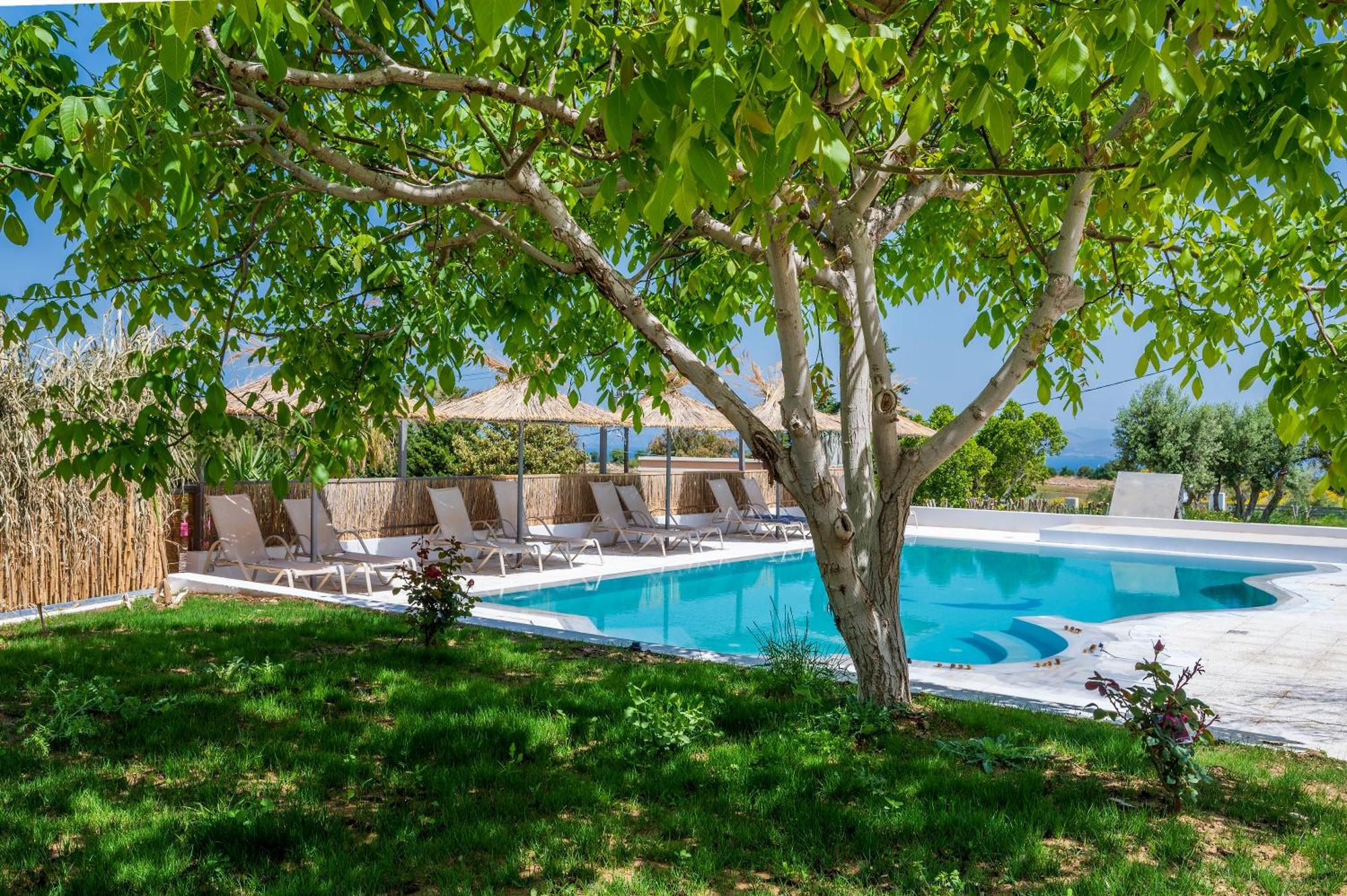 Homes Eva'S Garden, Poolside Cozy Havens In Kos Agios Dimitrios  Dış mekan fotoğraf
