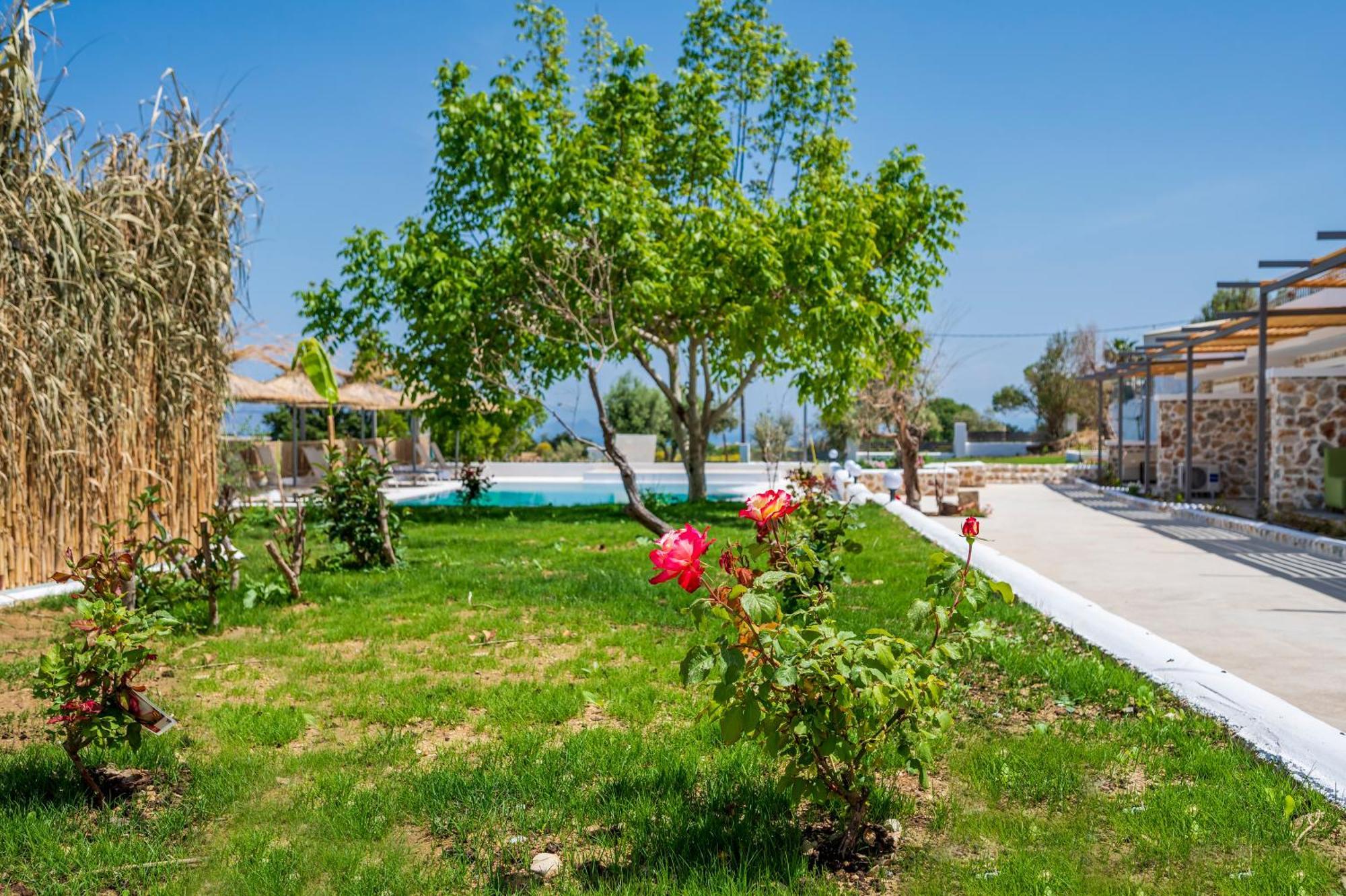Homes Eva'S Garden, Poolside Cozy Havens In Kos Agios Dimitrios  Dış mekan fotoğraf